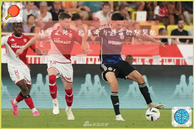 追梦之路：约基奇与穆雷的默契配合