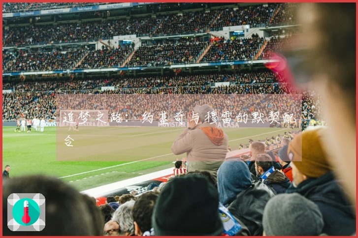 追梦之路：约基奇与穆雷的默契配合