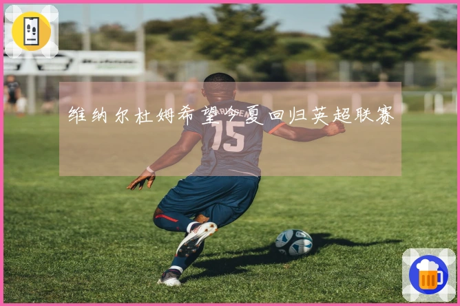 维纳尔杜姆希望今夏回归英超联赛